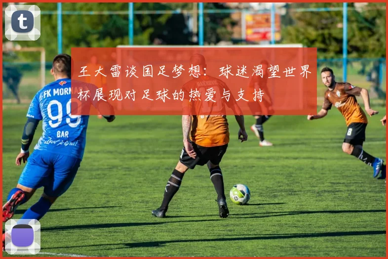 王大雷谈国足梦想：球迷渴望世界杯展现对足球的热爱与支持