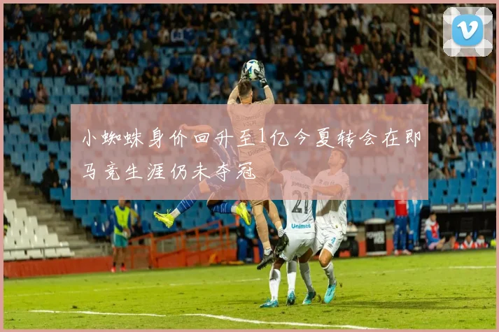 小蜘蛛身价回升至1亿今夏转会在即马竞生涯仍未夺冠